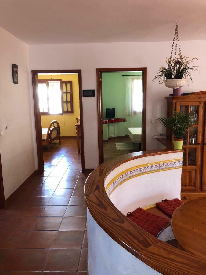 Palmeras Ingenio Dış mekan fotoğraf