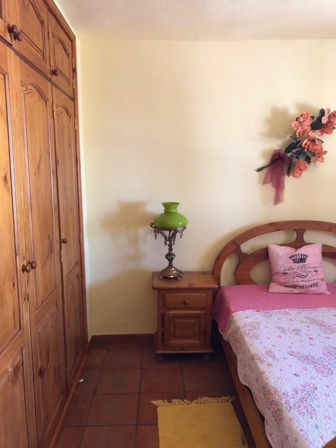 Palmeras Ingenio Dış mekan fotoğraf
